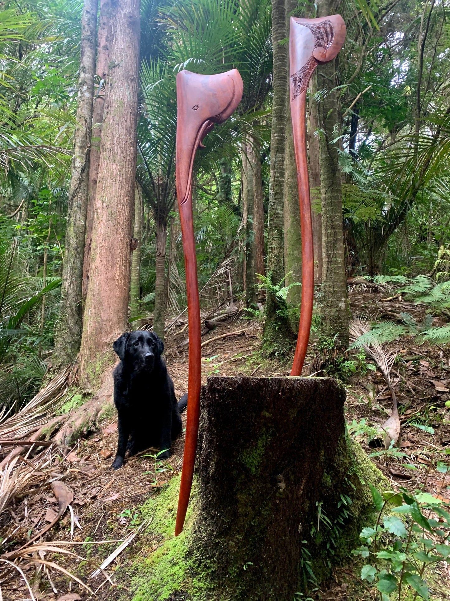 Tewhatewha Puāwai